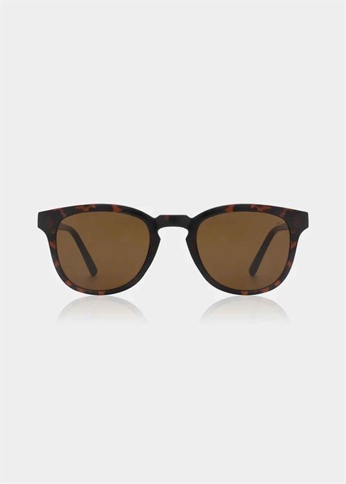 Bate solbrille Demi Tortoise A.Kjærbede 